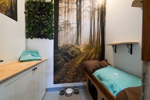 Luxury Cat Lodge cattery