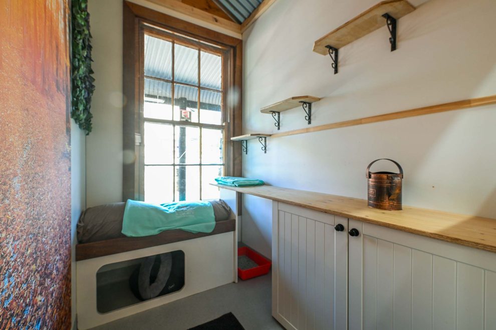 window cat lodge central coast