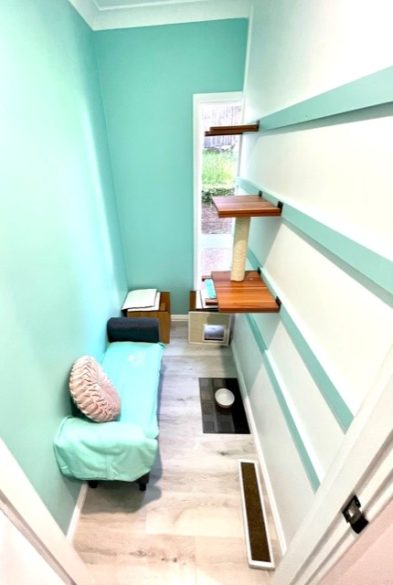 Luxury Cat Lodge Central Coast