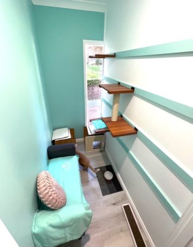 Luxury Cat Lodge Central Coast