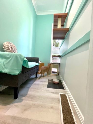 Luxury Cat Lodge Central Coast