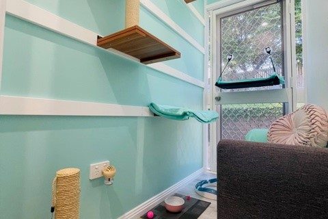 Cat Lodge Central Coast